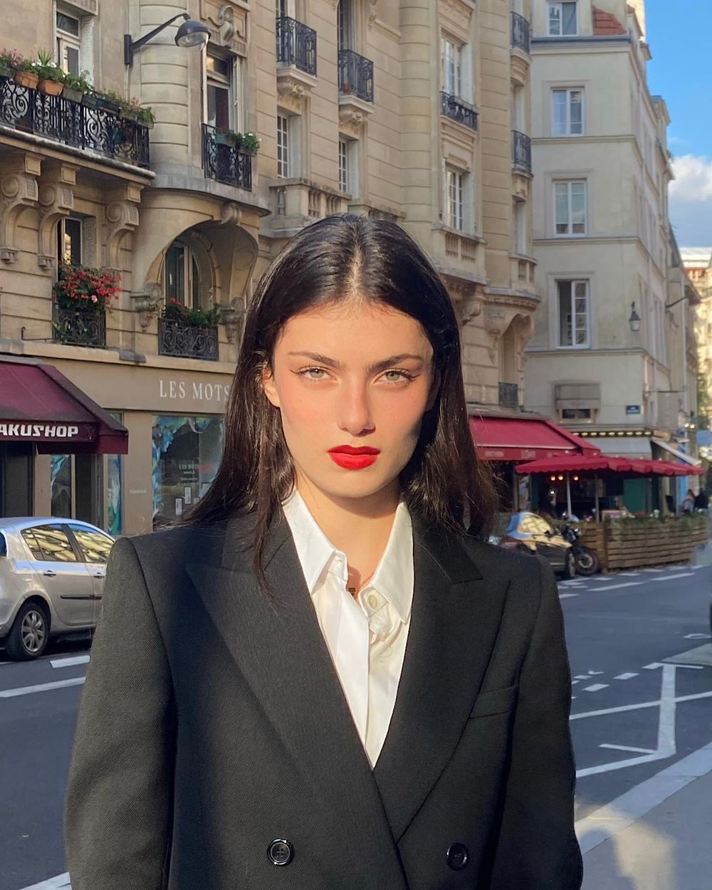 French eyebrow shaping zoiamossour